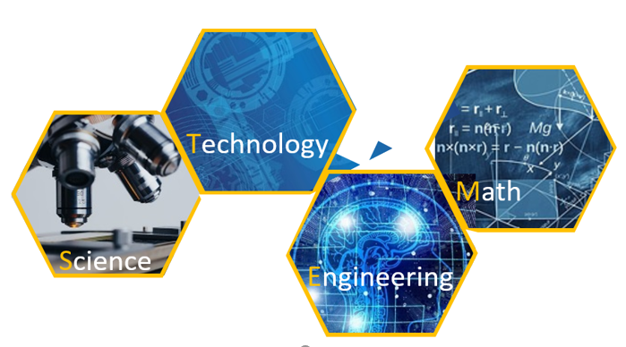 DigiStem Concept